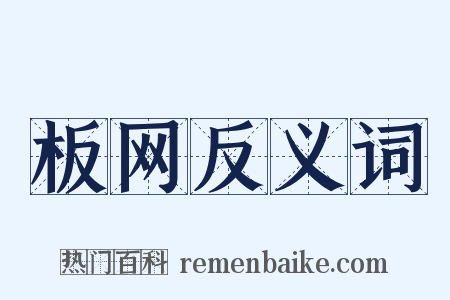 板网反义词是什么意思的图片